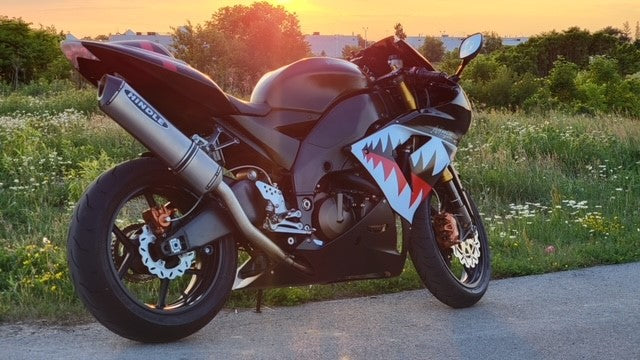 2004-2005 KAWASAKI ZX-10R Stainless Full System