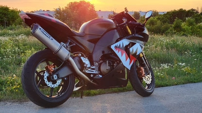 2004-2005 KAWASAKI ZX-10R Stainless Full System