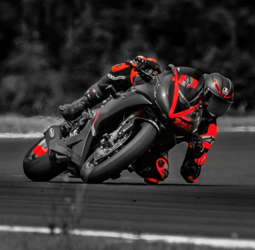 2019-2022 TRIUMPH DAYTONA Moto2 765 Stainless Full System